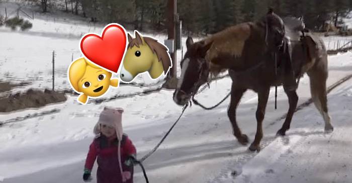 Pieni tyttö on kävelyllä suuren hevosen kanssa – video sulattanut miljoonien sydämet
