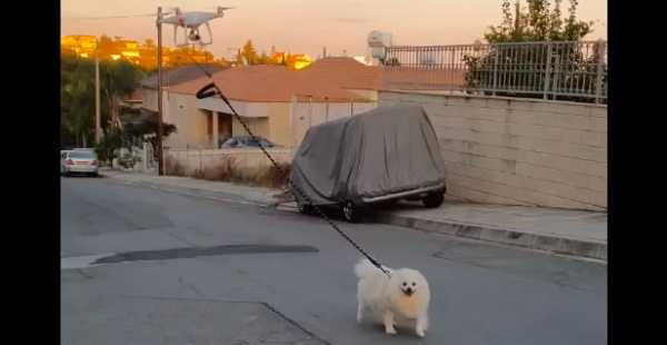 Video: Karanteenissa oleva mies ulkoiluttaa koiraansa dronen avulla!