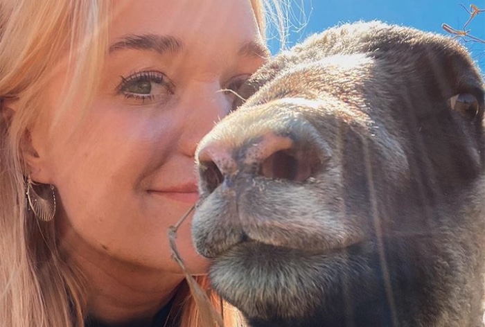 Eronnut Iida Ketola muutti elämänsä täysin: muutti vanhaan hirsitaloon ja otti lampaita! – Kuvat
